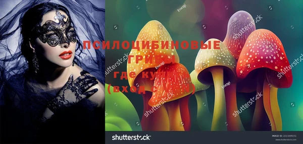 ПСИЛОЦИБИНОВЫЕ ГРИБЫ Алексеевка