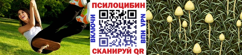 наркошоп  Шуя  Псилоцибиновые грибы GOLDEN TEACHER 